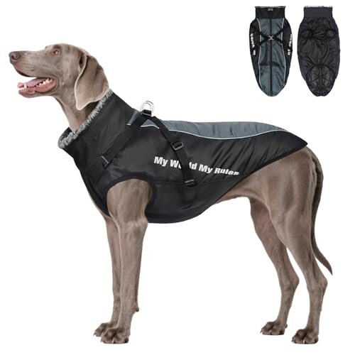 Votoko Cappotto Cane Invernale, Impermeabile Termico Cappotto Per Cani, Cappottino Cane Taglia Media Con Strisce Riflettenti E Pettorina Rimovibile, Lavabile In Lavatrice, Resistente Anello a D (XL)