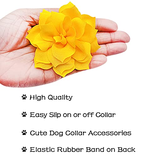 Pet Show Dog Charms Flower Collar Embellishment Accessories For Cat Puppy Collars Dogs Bowtie Grooming Pack Of 8 #TOP1