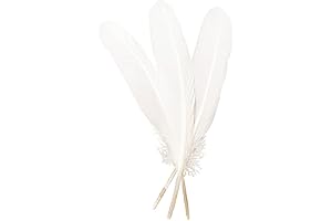 50Pcs Large White Feathers, 8~10", for Crafts, Wedding Dress, and Party Decoration