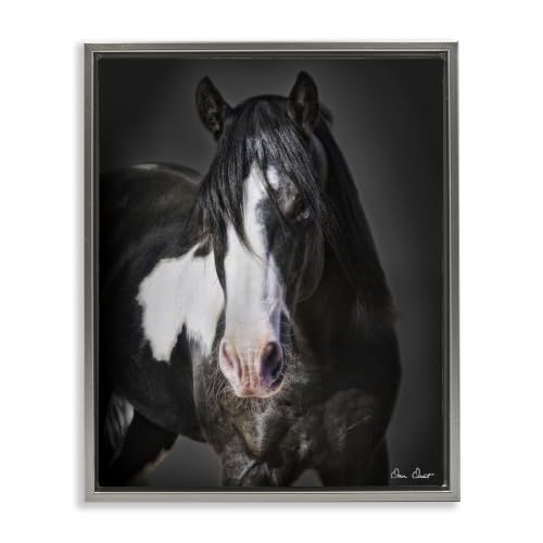 Black & White Horse Farmhouse, 25 x 31 Inch Canvas in Floater Frame