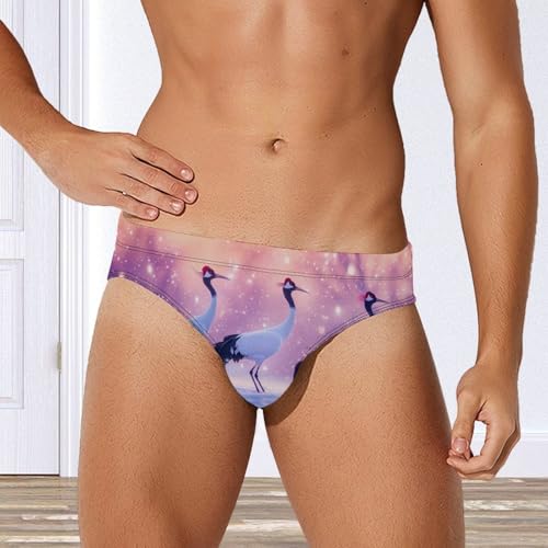 Walking Japanese Cranes Mens Swim Briefs Quick Dry Triangle Trunks Swimsuit Swimming Bikini Swimwear4