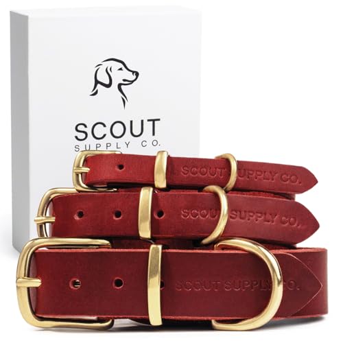 Image of Classic Genuine Leather Dog Collar | Dog Collars for Medium Dogs, Small Dogs, Large Dogs & Extra Large Dog | Wide Dog Collar | Heavy Duty Collar | Red (M: 0.8 inch Wide for 13.5 inch-16 inch Neck)