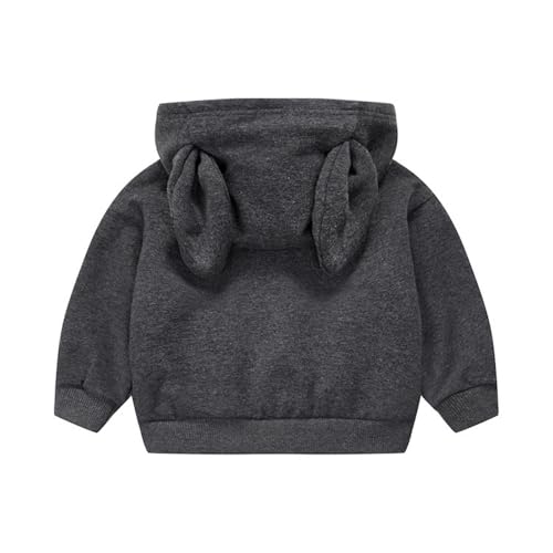 Toddler Boy Girl Outfit Long Rabbit Ear Hoodie Sweatshirt Pullover Long Sleeve Cute Bunny Hooded Clothing3