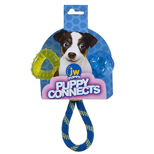 JW Puppy Connects - Image 7