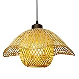 🌞 【Facile da installare】: il processo di installazione è semplice, senza procedure complicate e può essere regolato in base alle tue preferenze e al tuo design. La luce è uniforme (lampadine non incluse), leggere in dettaglio le istruzioni di installazione, interrompere l'alimentazione prima dell'installazione e prestare attenzione alla sicurezza.