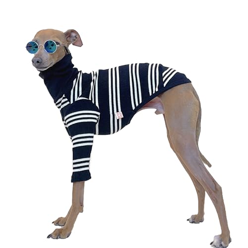 D Doggy Star Italian Greyhound Clothes Flexible T Shirts Whippet for Dogs (M,Ivory Stripe)