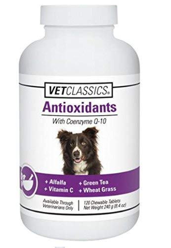 Vet Classics Antioxidants with Coenzyme Q-10 for Dogs, with Alfalfa, Green Tea, Vitamin