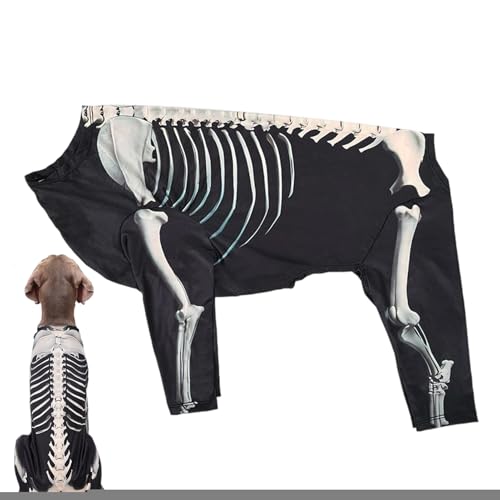 pRX`[ | ybgp  [ XEFbgVc | ybg nEB EFA ^ {fBX[c O ł z[p[eB[ RXv  LOʐ^