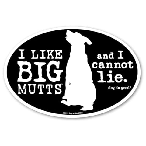 Dog is Good Oval Car Magnet Big Mutts - Great Gift for Dog Lovers, 4x6 Inches Cover