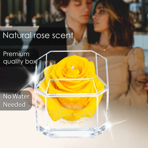 Una rosa reale al 100% che dura anni - Petali eterni, fatti a mano nel Regno Unito - Solo d'oro con cristallo Swarovski trasparente (giallo) - Image 4