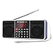 Produktbild PRUNUS J-288 Tragbar AM(MW) UKW FM Bluetooth USB SD TF Radio MP3 mit Doppelmagnet Lautsprechern Stereo Sound AUX und Sleep Timer Funktion