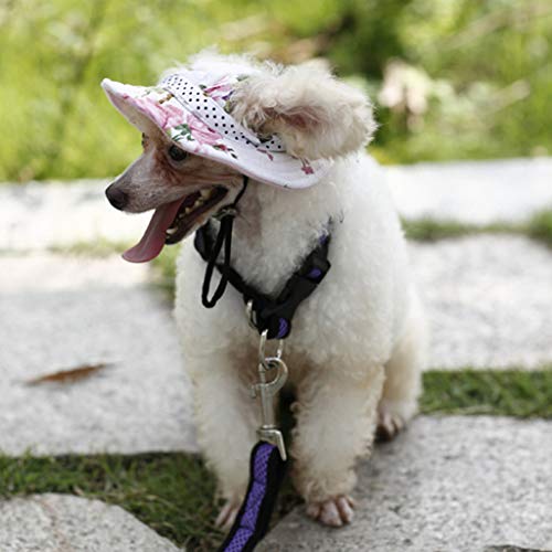 Piccolo Cane Gatto Gattino Principessa Floreale