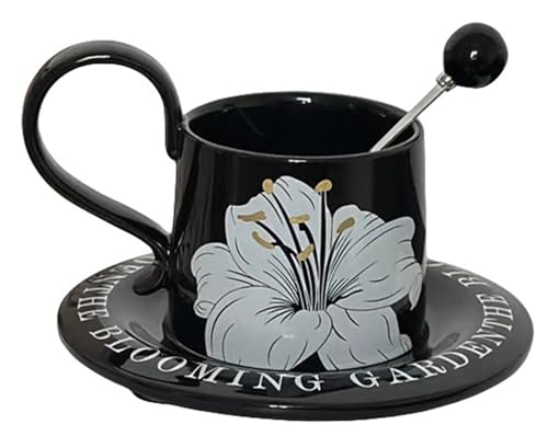 Yatome Jbvƃ\[T[Zbg R[q[Jbv t Xv[t 260ml e  Z~bN ԕ  g ϔM dqW H@Ή ȒP ƒp zj  蕨 (A) [sAi]