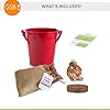Garden State Bulb Galaxy Nymph Double Amaryllis Bulb Gift Kit, 26/28cm (Red Planter) #1