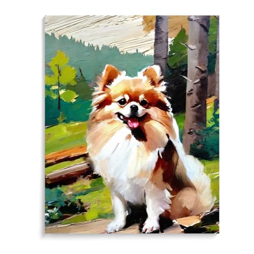 DIY Paint by Numbers Pomeranian Dog on Canvas Painting Kits for Adult, Beginner Oil Painting Kits Gift 20x24inch(50x60cm) Frameless