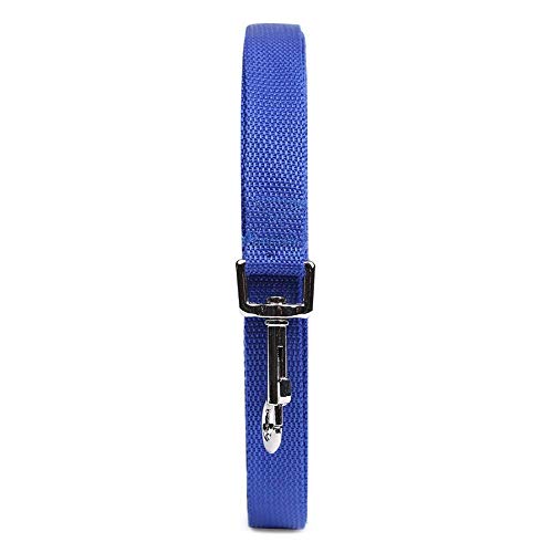 Image of Nylon Dog Training Lead Dog Leash Long Leash 20 Feet Long Leash for Dogs (1 inch Wide) (Blue, 20 Feet)