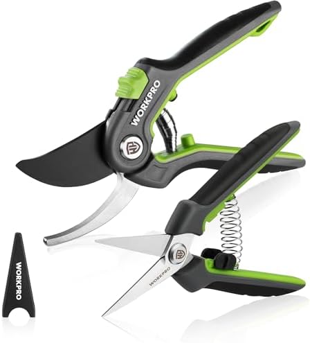 WORKPRO Gartenschere Set 2-tlg, 210mm SK5 Bypass Astschere für frische Zweige, 160mm Ernteschere Pflückschere für Blume und Frucht, Pflanzenschere Baumschere Rosenschere Blumensche