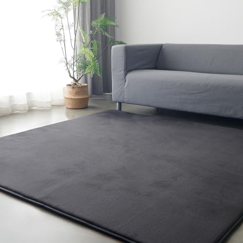 Housecover カーペット 極厚25mm ラグ ラグマット 厚手 滑り止め付 洗える 130×185cm 約1.5畳 絨毯 防ダニ 抗菌 防臭 オールシーズン快適に使用 床暖房 ホットカーペット対応 ふわふわ肌触り 低反発と同じ厚み フランネルラグ