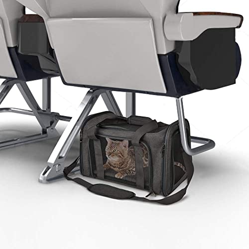 Image of PETANGEL Airline Approved Cat Carriers Small Medium Dog Carrier Pet Carrier for Large Cats Dogs Puppies, Medium Dog Carrier Soft Sided, Collapsible Travel Puppy Carrier - (Size: L, Black)