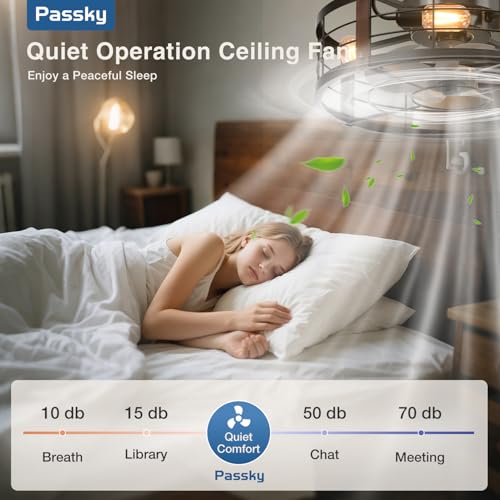 Image of Passky 20 Inch Farmhouse Caged Ceiling Fans with Lights and Remote, Black Downrod Mount Bladeless Fandelier, 6 Speeds Bladeless Ceiling Fan Light for Bedroom, Kitchen, Living Room, Indoor