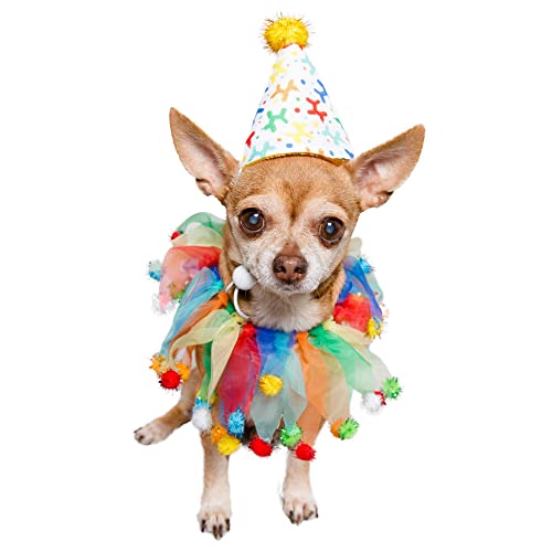 Pet Krewe Dog Clown Costume Happy Birthday Hat & Collar Outfit | 1St Bday Party, National Cat Day, Photo Shoots & Celebrations | Doggie & Puppy Clothes | Ideal Gift For Small, Medium & Large Pets #TOP7