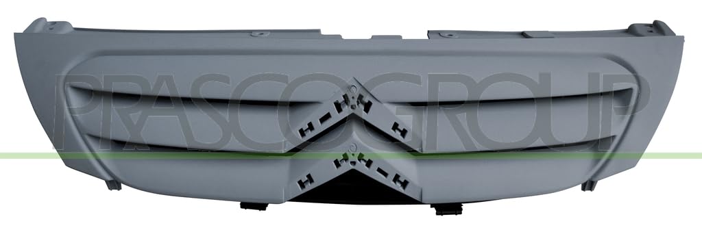 GRIGLIA CITROEN C3 10 05>10 09