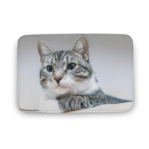 L   oX}bg z/唻 փ}bg  O   \ ~ Aj LN^[ @}bg   ʏ