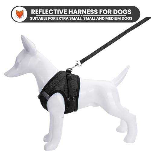 Image of WOOFLIX Dog Harness for Small Dogs, Puppies and Cats | Suitable for Small Size Dogs, Cats & Puppies of 2.5kg -4.5kg | Reflective Soft Padded Dog Harness with Secure Fit | Black (2.5kg-4.5kg Dog & Cat)