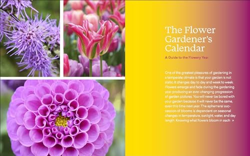 image for The Ultimate Flower Gardener's Guide: How to Combine Shape, Color, and