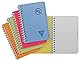 Clairefontaine 328225C - Adressbuch / Vokabelheft Linicolor Fresh mit Doppelspiralbindung 9x14 cm, 48 Blatt kariert, 90g Einband aus PP, farbig sortiert, 1 Stück