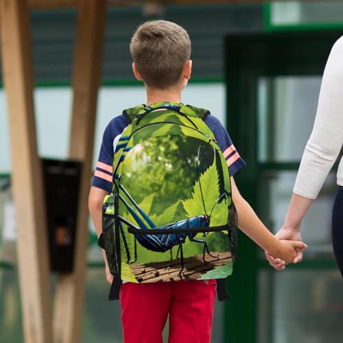 Sac à dos ergonomique et trousse cricket pour ne plus manquer de place au collège - 6