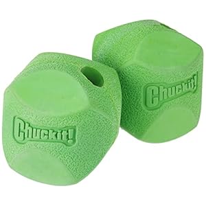   Chuckit-Erratic-Ball-Dog-Toy-Medium-25-Inch-Pack-of-2-Indoor-and-Outdoor-Dog-Toy