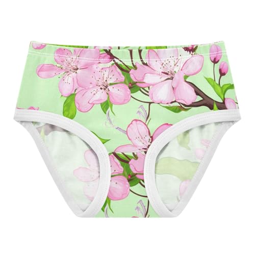 Florals Toddler Girls Underwear 2t Cotton Panties for Girl Pink Cherry Blossom Flowers Green Briefs Kids Undies