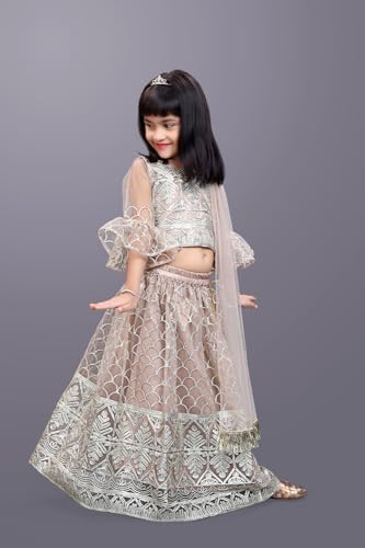 Image of Girl's Princess Lehenga Choli Set - Soft Net, Ribbon Embroidery With Duppata, Readymade