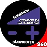  New Stance (DJ.Nece Remix)