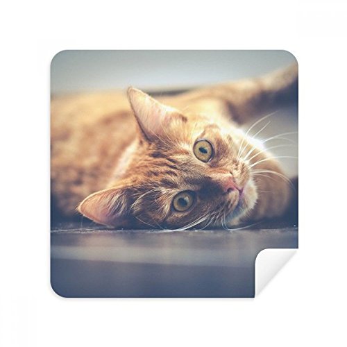 Chiffon de nettoyage lunettes fini les écrans flous tissu suédine chat 2Pcs