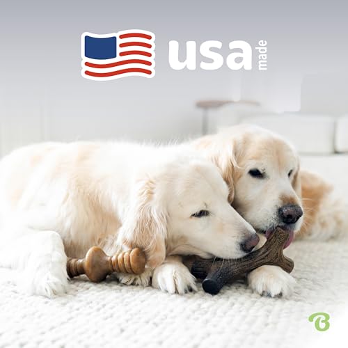 image for Benebone 2-Pack Maplestick/Zaggler Durable Dog Chew Toys, Real Maplewo