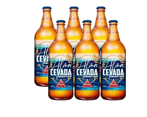 Pack 06un Cerveja Low Carb Alma Cevada Bruder 600ml