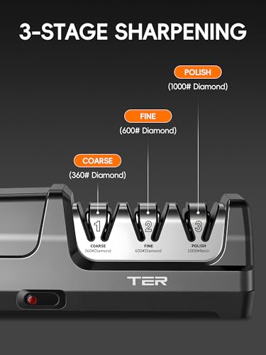 Professional Electric Knife Sharpener