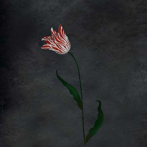 Dutch Tulip Large Flower Wall Stencil Wall – Floral Stencils for Walls – Flower Stencil Designs – Reusable Stencil for Painting Walls – Try Stencil Instead of Wallpaper and Save Lots on Room Makeover