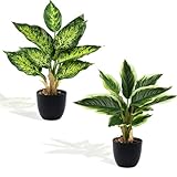 Maxmoc Kunstpflanzen Wie Echt,2 Stück Künstliche Pflanzen im Topf Zimmerpflanzen, 37cm Deko Pflanzen Künstlich Plastik Pflanze Fake Plants für Badezimmer Büro Küche Badezimmer