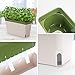 Amazing Creation Window Herb Planter Box, Vibrant Window Herb Garden, Self-Watering Rectangular Planter for Kitchen, Plants, and Succulents - Set of 3