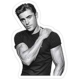 Big Lens store Zac Efron Stickers (3 Pcs/Pack)