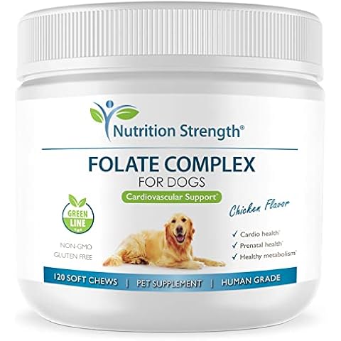 Nutrition Strength Folate for Dogs to Promote Cardiovascular & Prenatal Health, Support DNA Synthesis & Cell Maintenance, Folic Acid for Dogs with Zinc, Biotin, Iron & Vitamin B12, 120 Soft Chews Cover