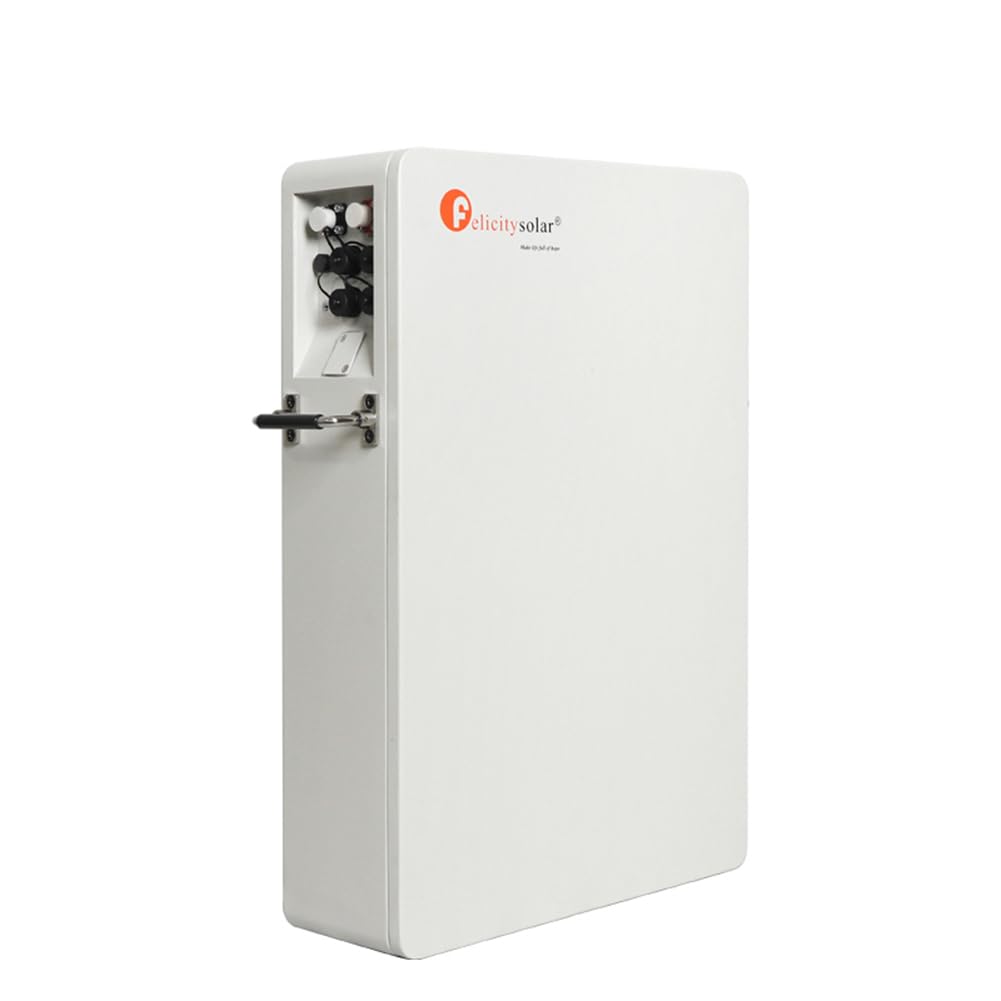LiFePO4 Batteria Accumulo Fotovoltaico da 51,2V 100Ah, Batteria Solare Ricaricabile con BMS Integrato per Sistema di Accumulo Energia Solare Fotovoltaico RV (5,12 KWh)