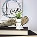 NW Wholesaler 2.25 Inch White Ceramic Cat Shaped Air Plant Holder - (Ceramic Only) Table Top Display Animal Shaped Planters and Vases for Air Plants and Other Mini Plants