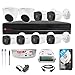 CP PLUS Full HD 8 Channel DVR with 2.4 MP 2 Dome & 6 Bullet Cameras + 2 TB HDD + (3+1) Cable roll + 8 CH Power Supply + USEWELL BNC & DC Full Combo Kit