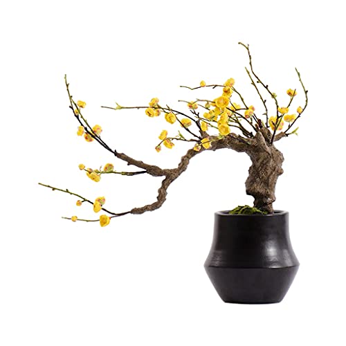 Bonsaï Plantes en Pot Vertes Réalistes pour harmoniser votre salon et bureau