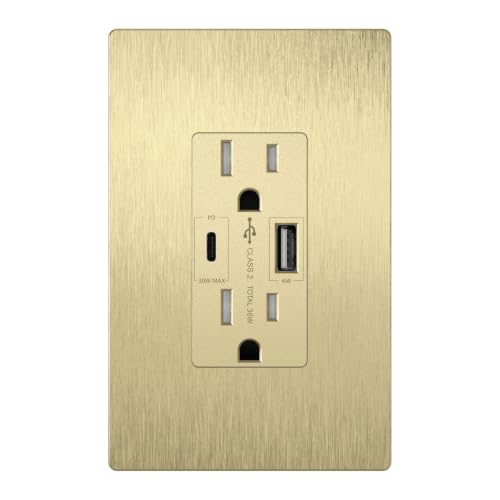 LIDER USB-C 36W Power Delivery Wall Outlet, Modern, UL Listed, Matte Gold