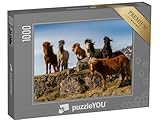 puzzleYOU